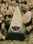 Brčál - Jehlan 110 TK