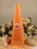 Exotic mango - Jehlan 300