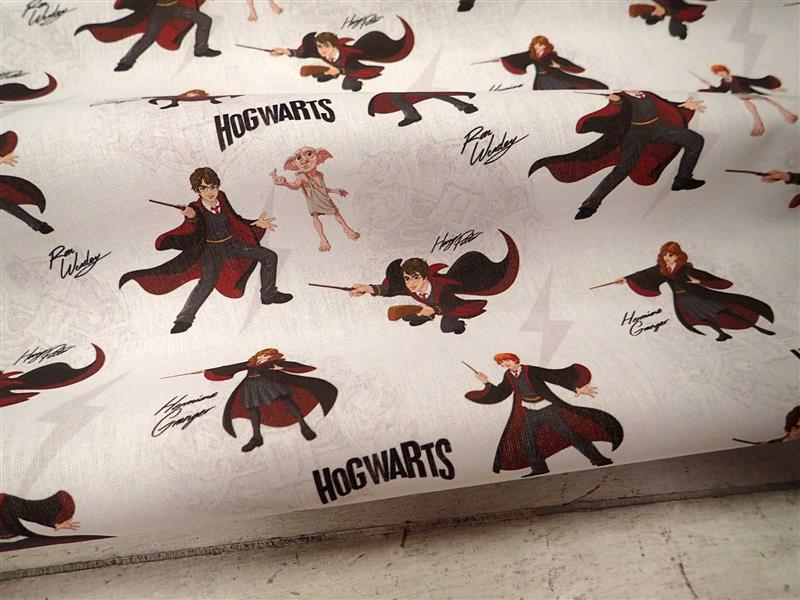 LÁTKA - HARRY POTTER - FOTOTISK