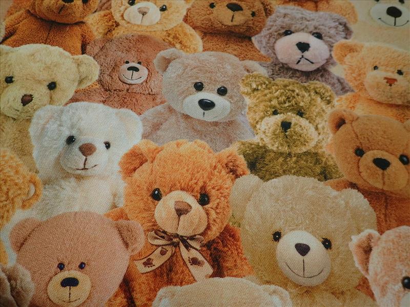 FOTOTISK - DIGITÁLNÍ TISK - MEDVÍDCI