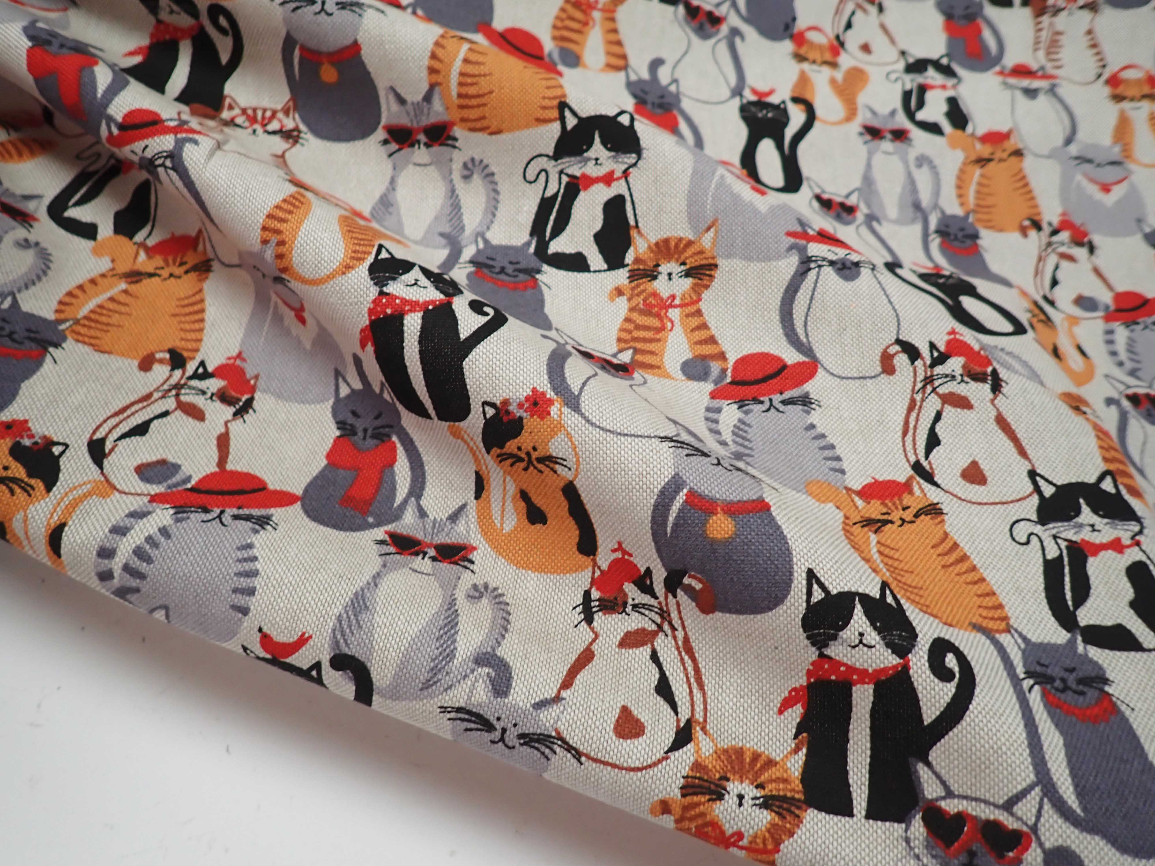 LÁTKA - REŽNÁ - KOČKY