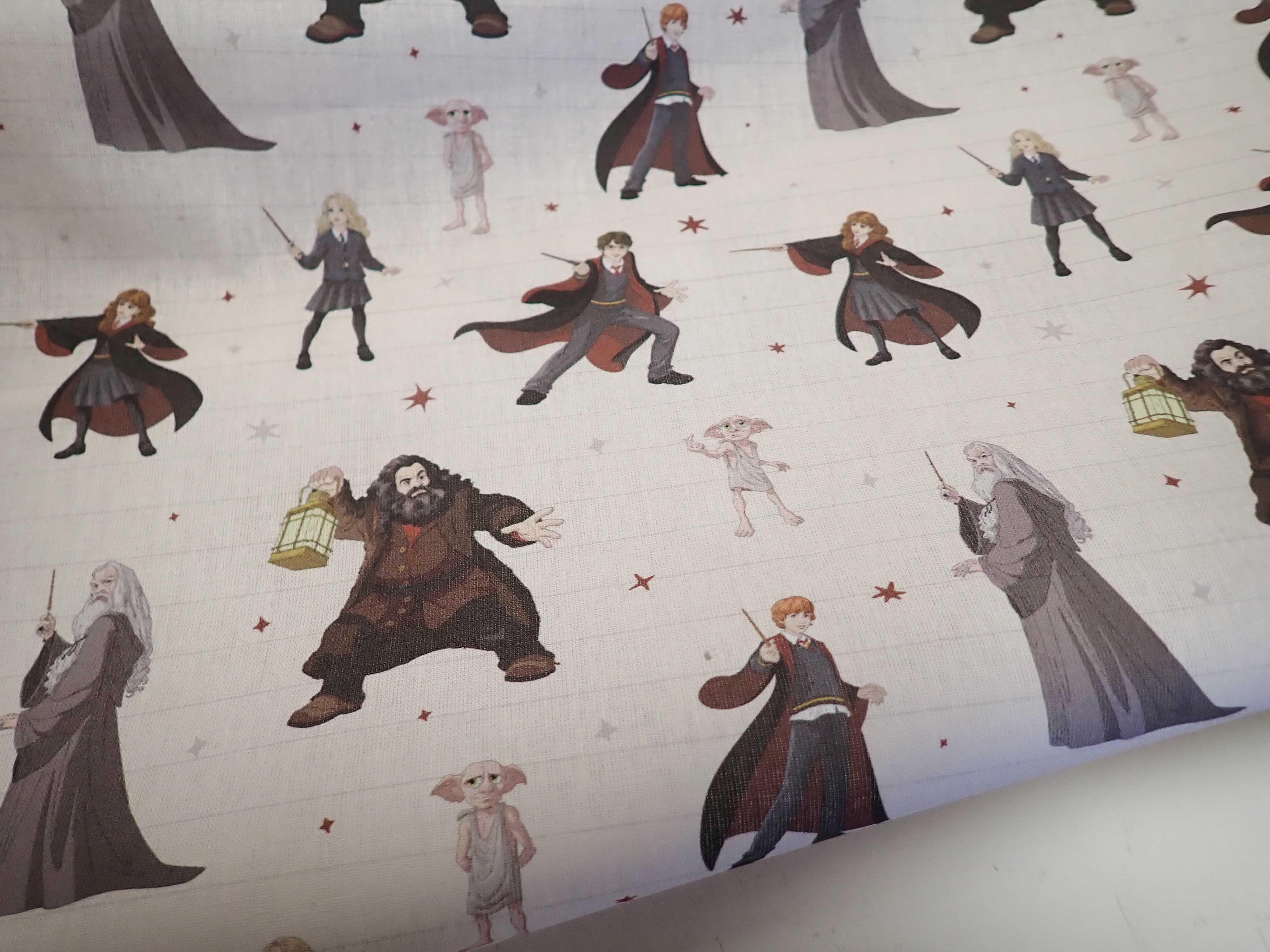 LÁTKA - HARRY POTTER - FOTOTISK