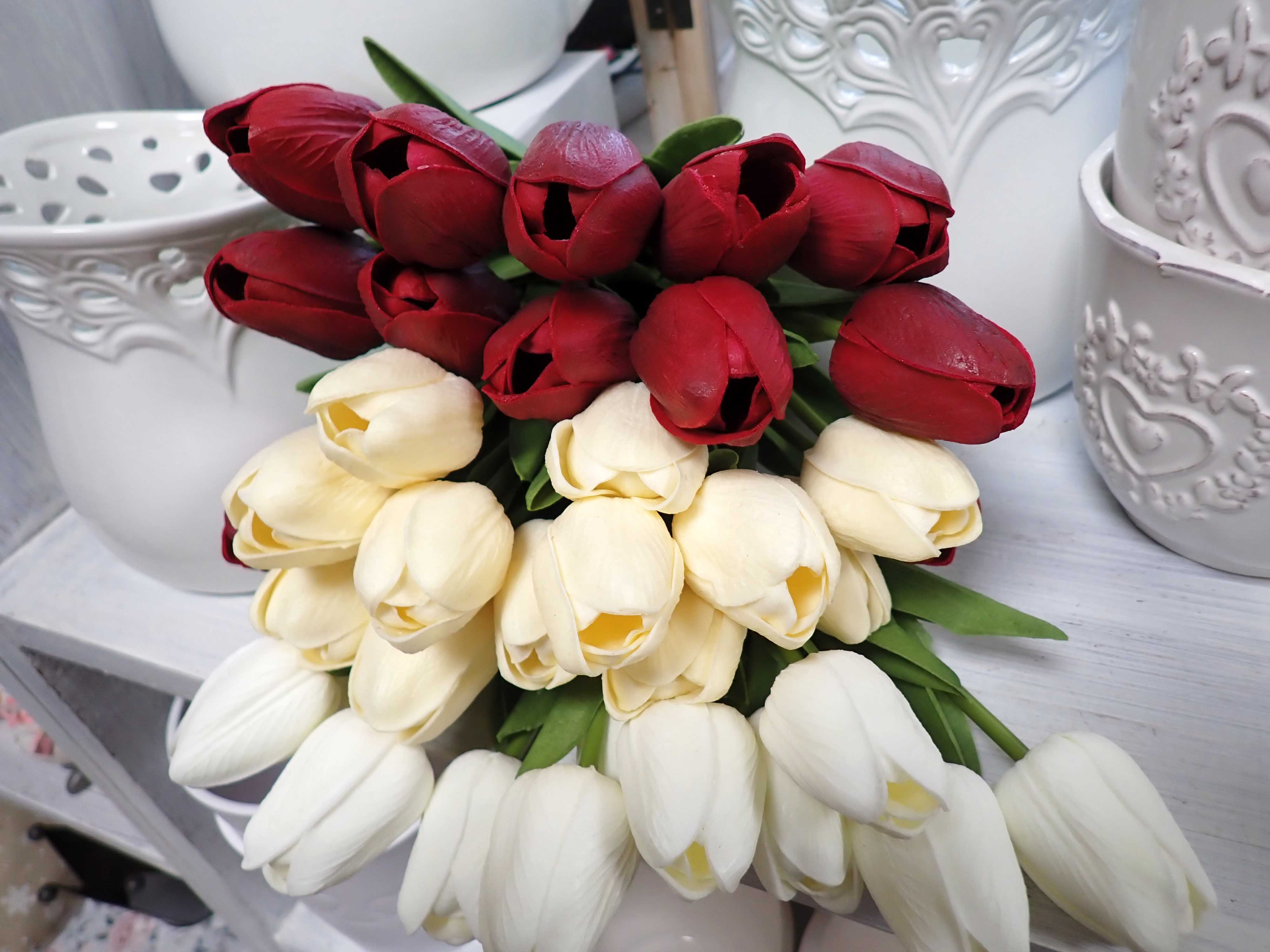 TULIPÁNY - TEMNĚ ČERVENÝ