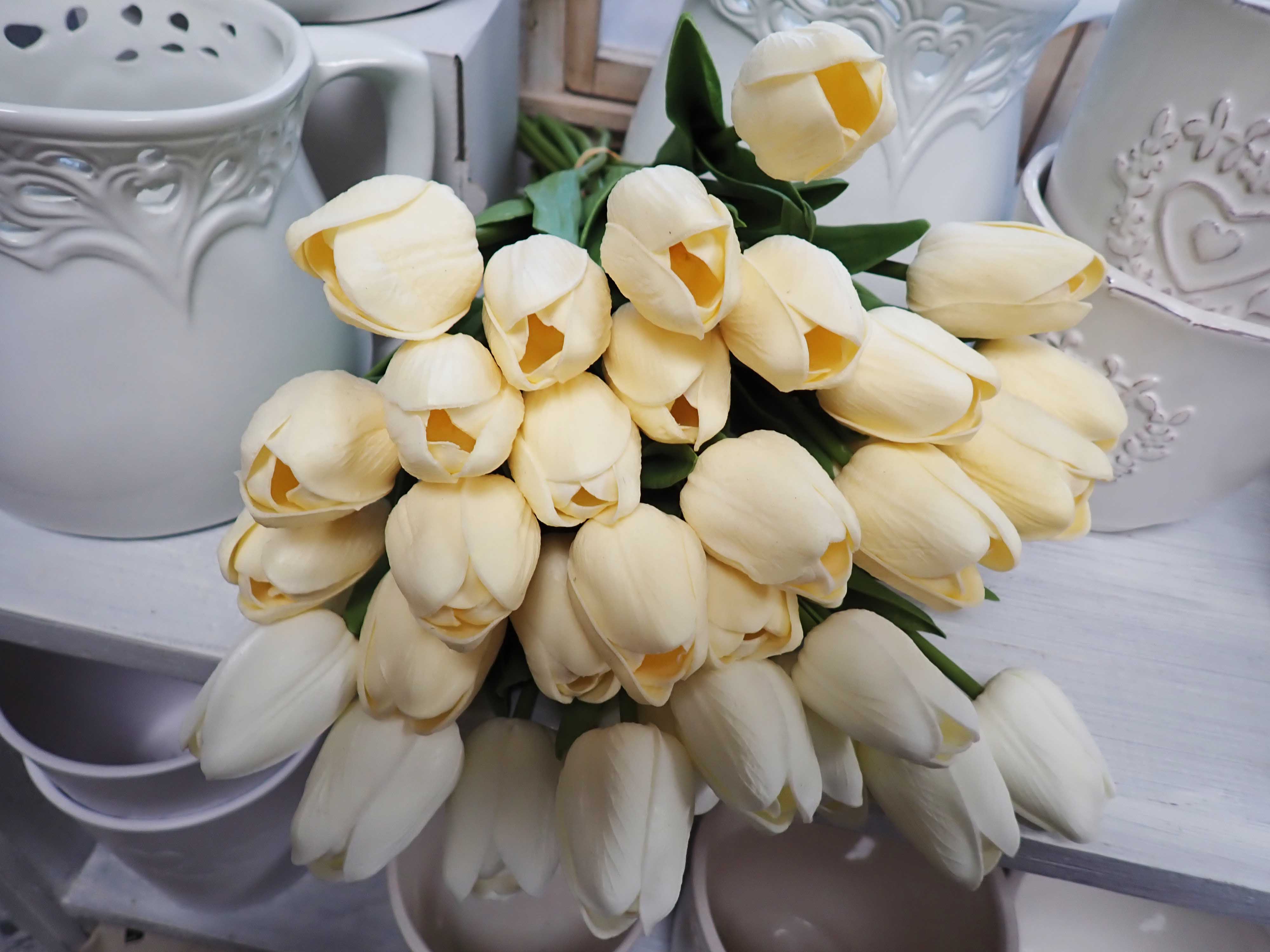 TULIPÁNY - SMETANOVÉ