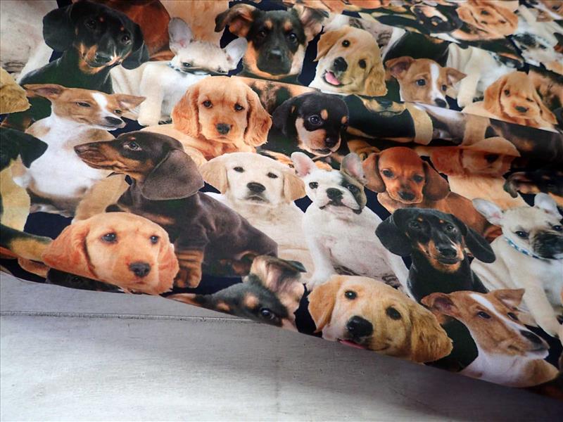 LÁTKA - FOTOTISK - PEJSKOVÉ