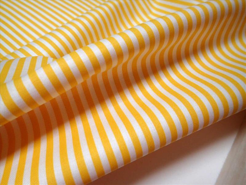 LÁTKA - ŽLUTÝ PROUŽEK