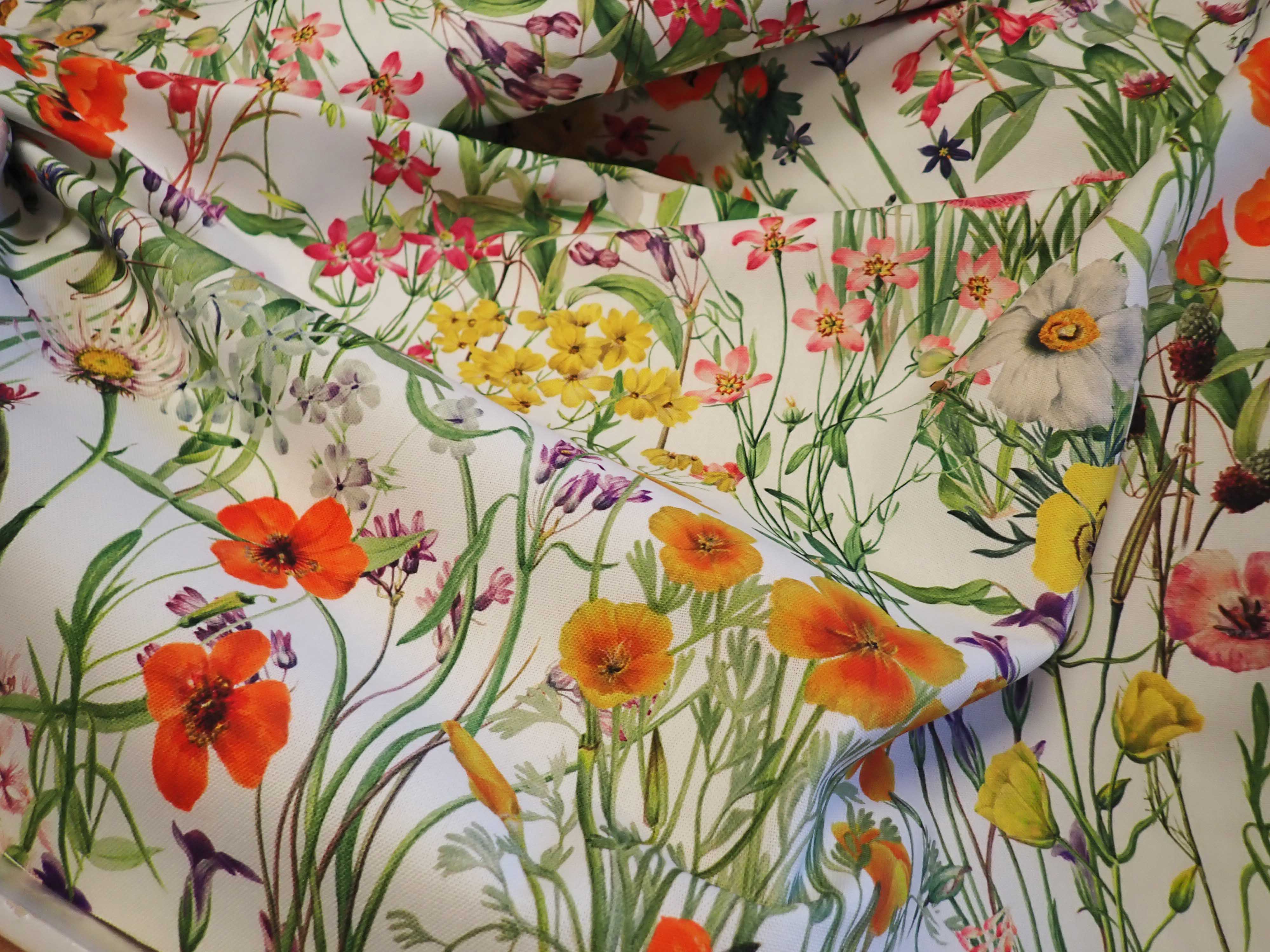 LÁTKA - FOTOTISK - ROZKVETLÁ LOUKA