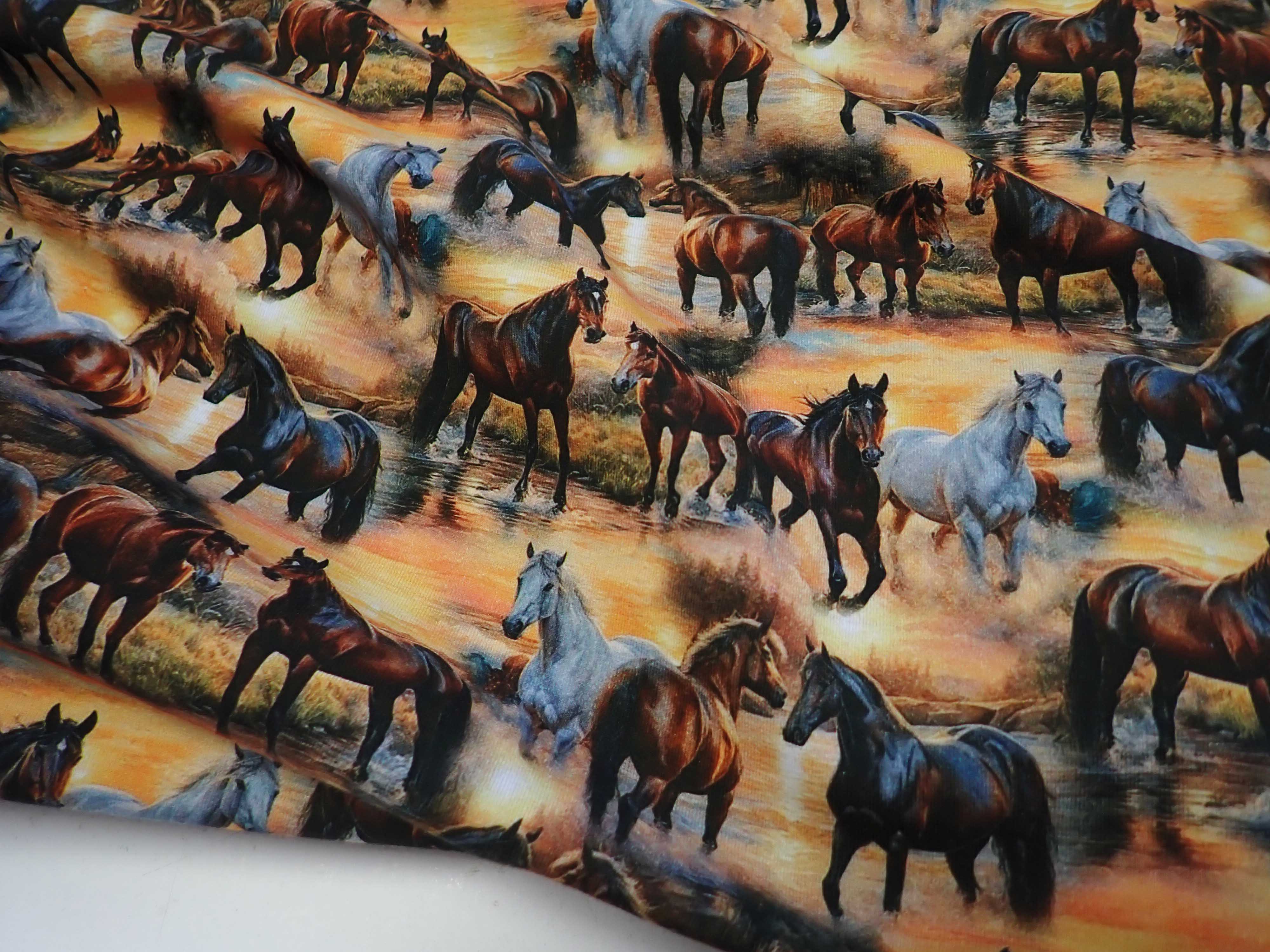 PLETENINA - JERSEY - FOTOTISK - KONĚ