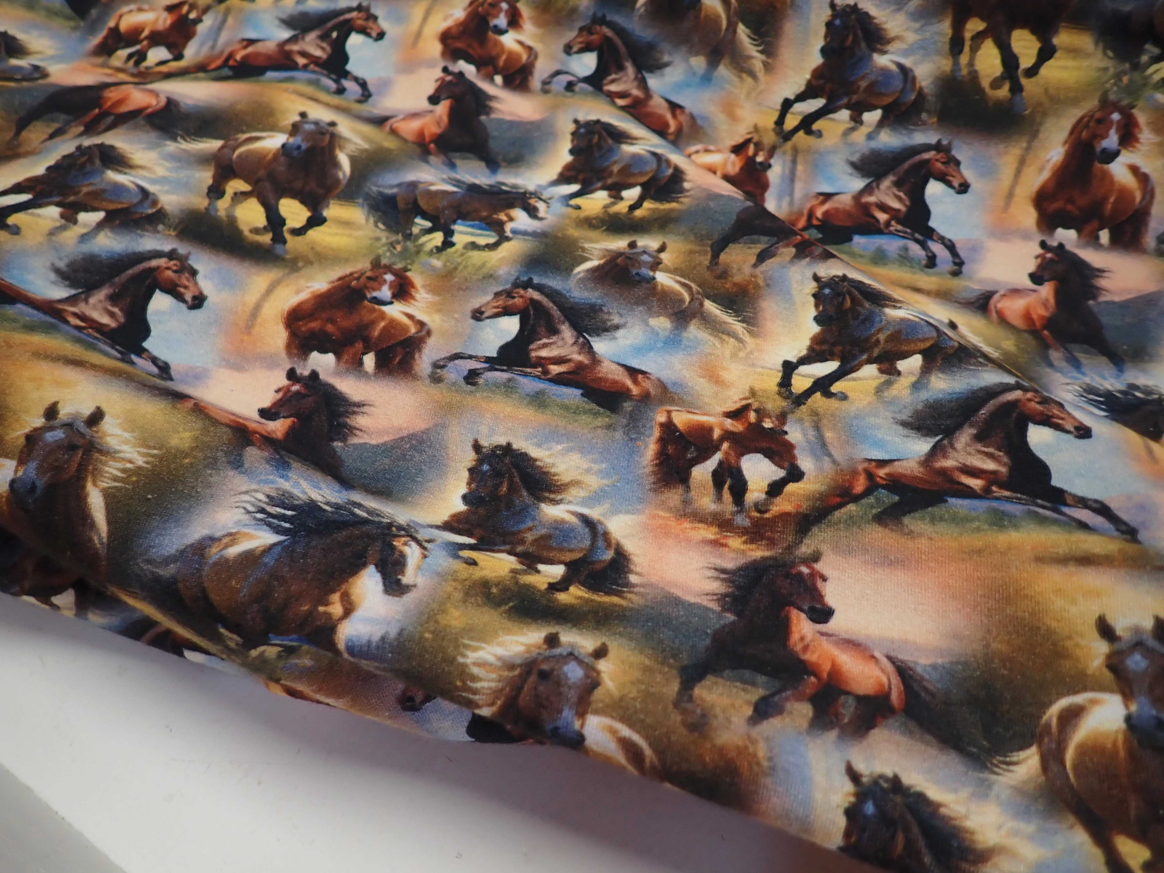 LÁTKA - TEPLÁKOVINA - FOTOTISK - KONĚ