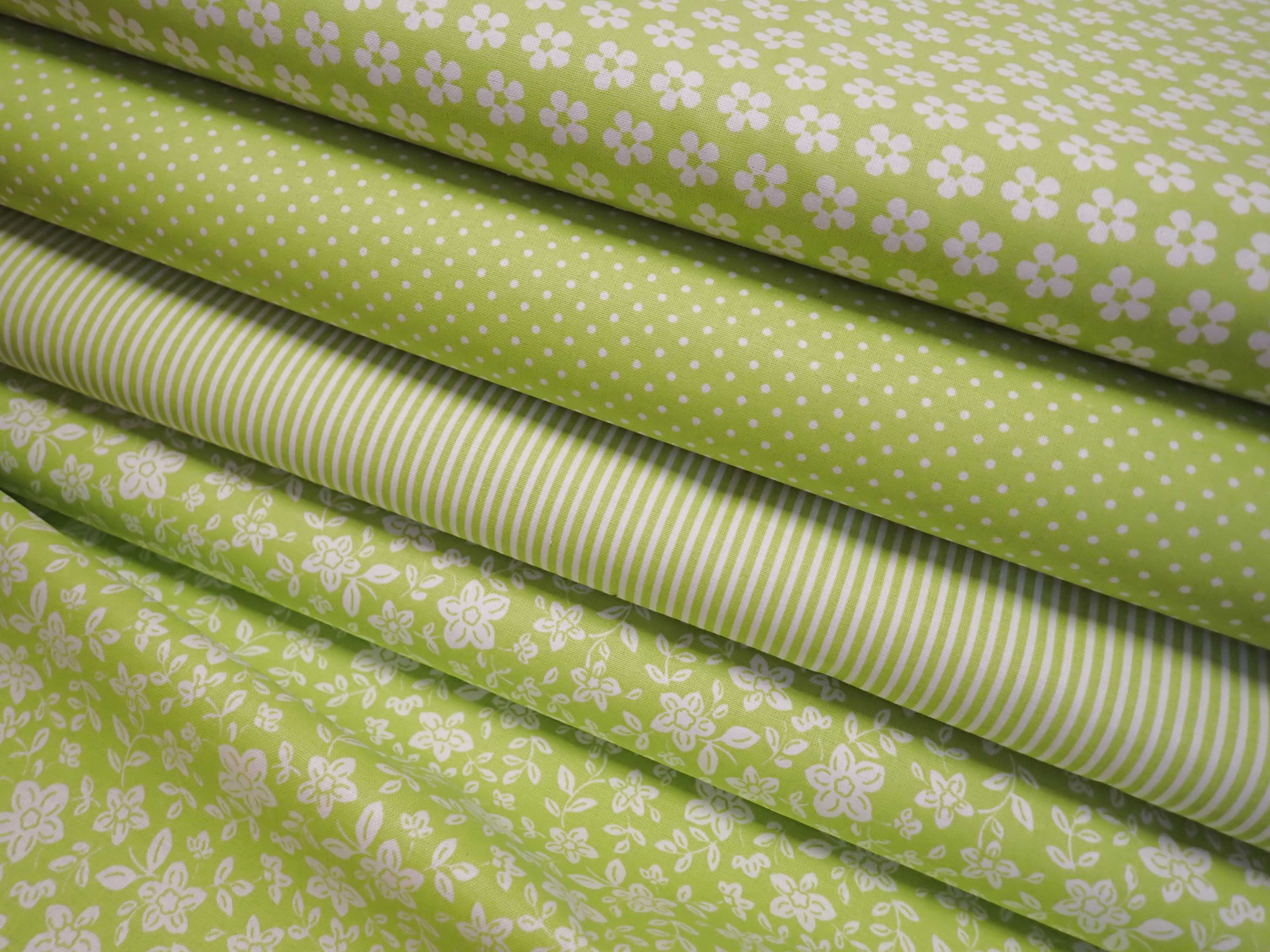 LÁTKA - ZELENÝ PROUŽEK