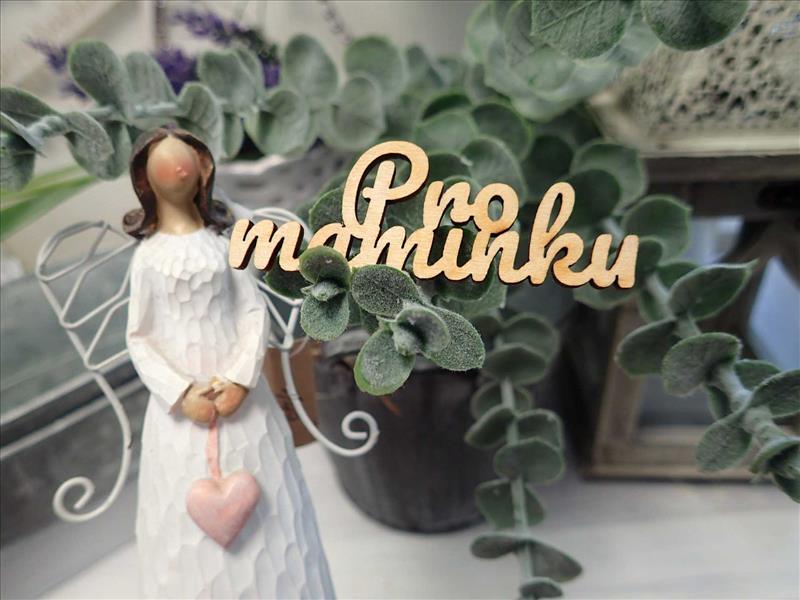 Nápis - PRO MAMINKU