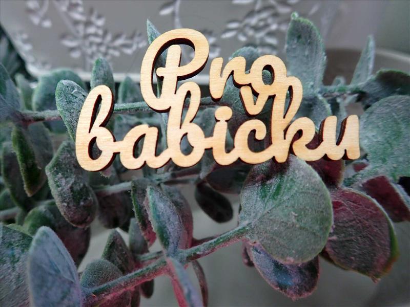Nápis - PRO BABIČKU