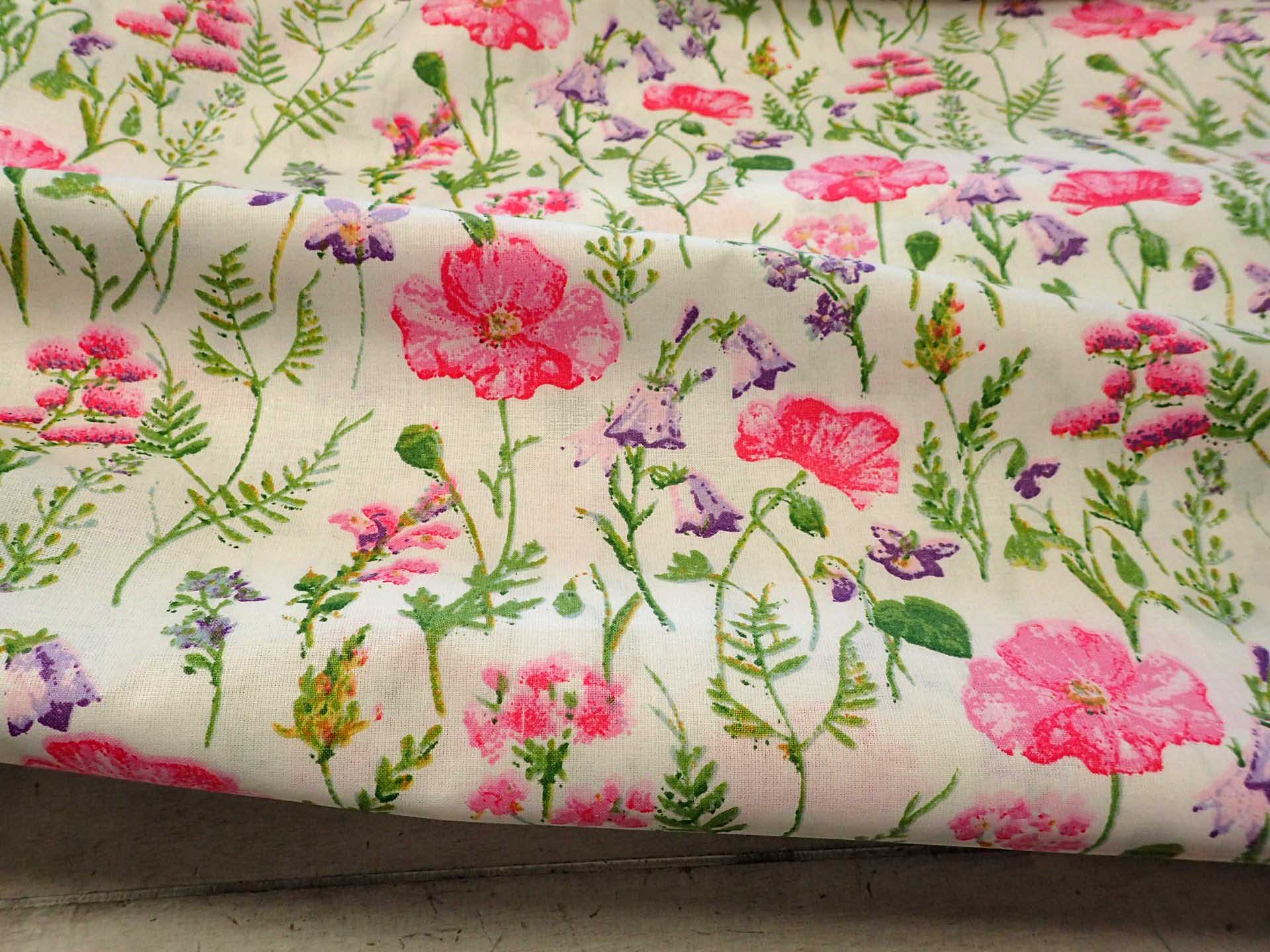 LÁTKA - KYTIČKY - ROZKVETLÁ LOUKA