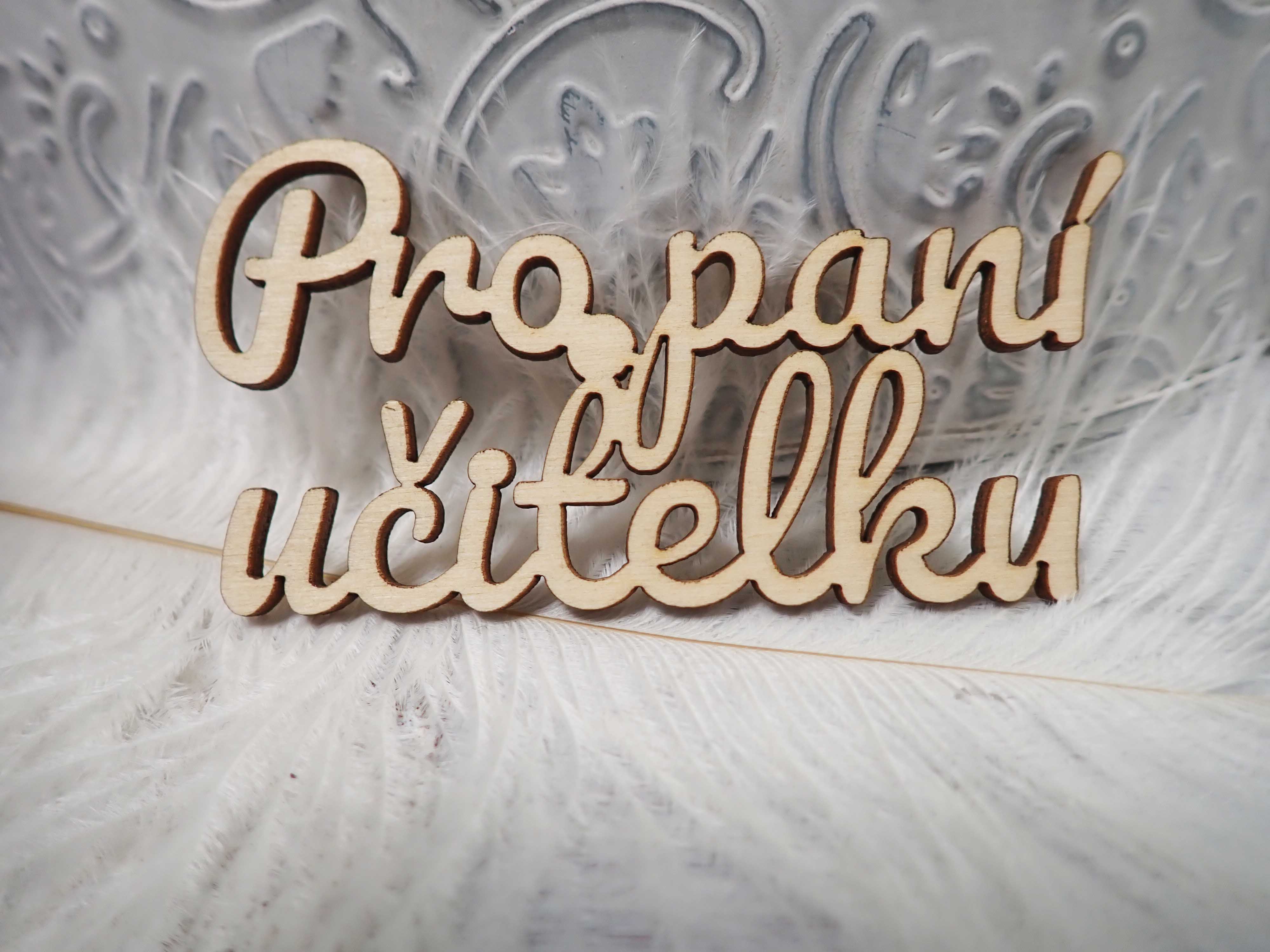 Nápis - PRO PANÍ UČITELKU