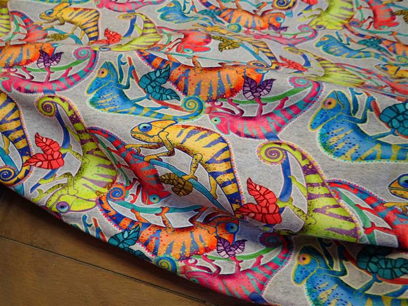 TEPLÁKOVINA - FOTOTISK - BAREVNÍ CHAMELEONI