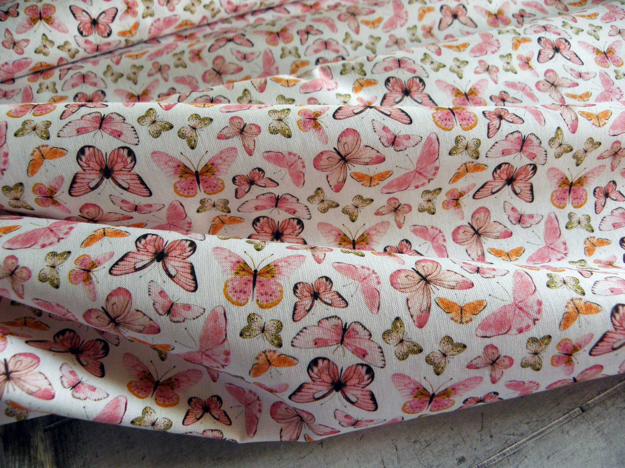 LÁTKA - POPELÍN - MOTÝLCI