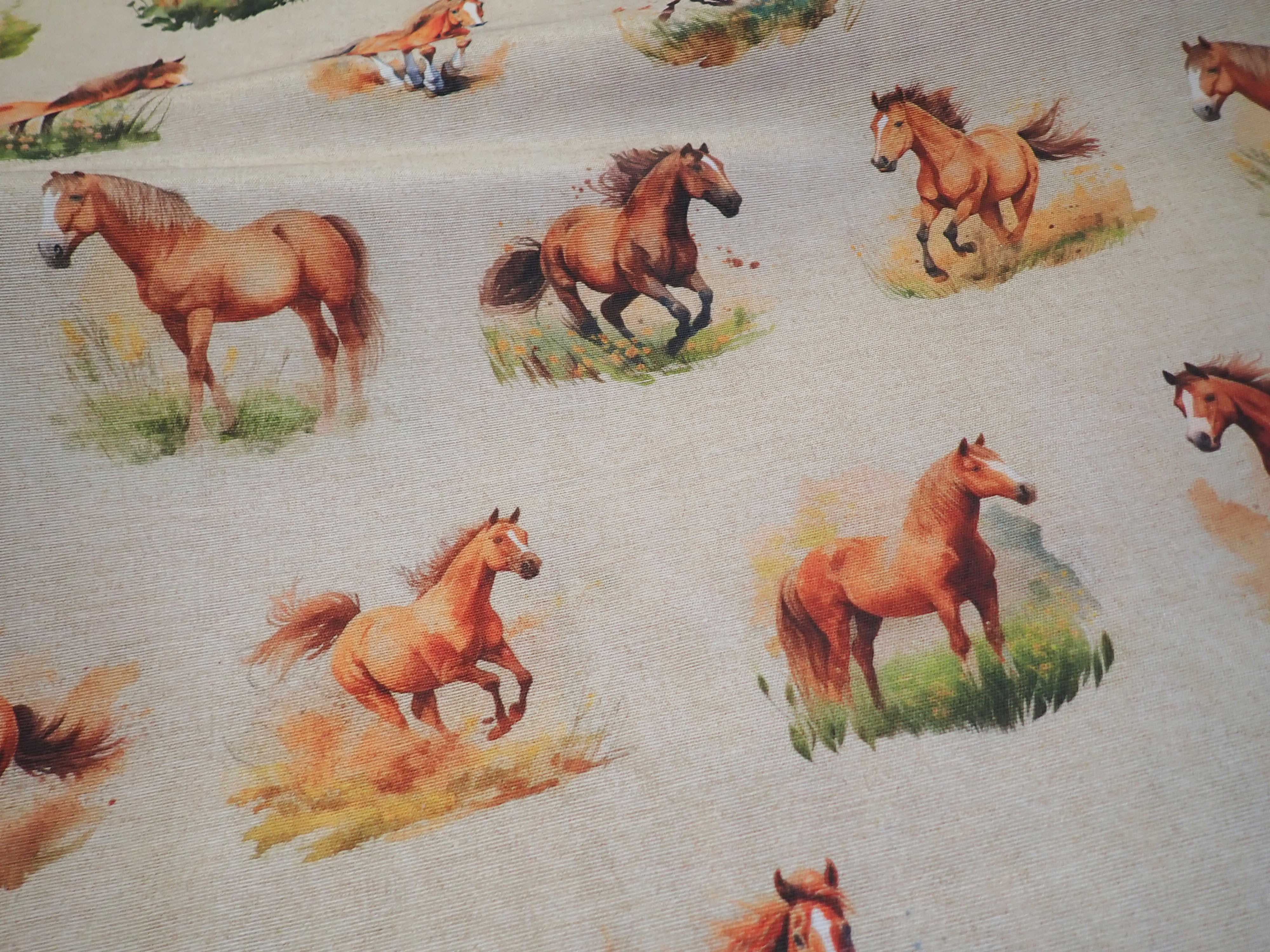 LÁTKA - POTAHOVKA - KONĚ