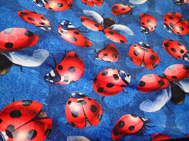 TEPLÁKOVINA - FOTOTISK - MODRÁ + BERUŠKY