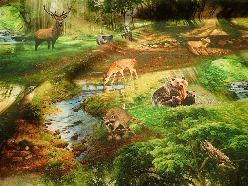 FOTOTISK - DIGITÁLNÍ TISK - ZVÍŘÁTKA - LESNÍ