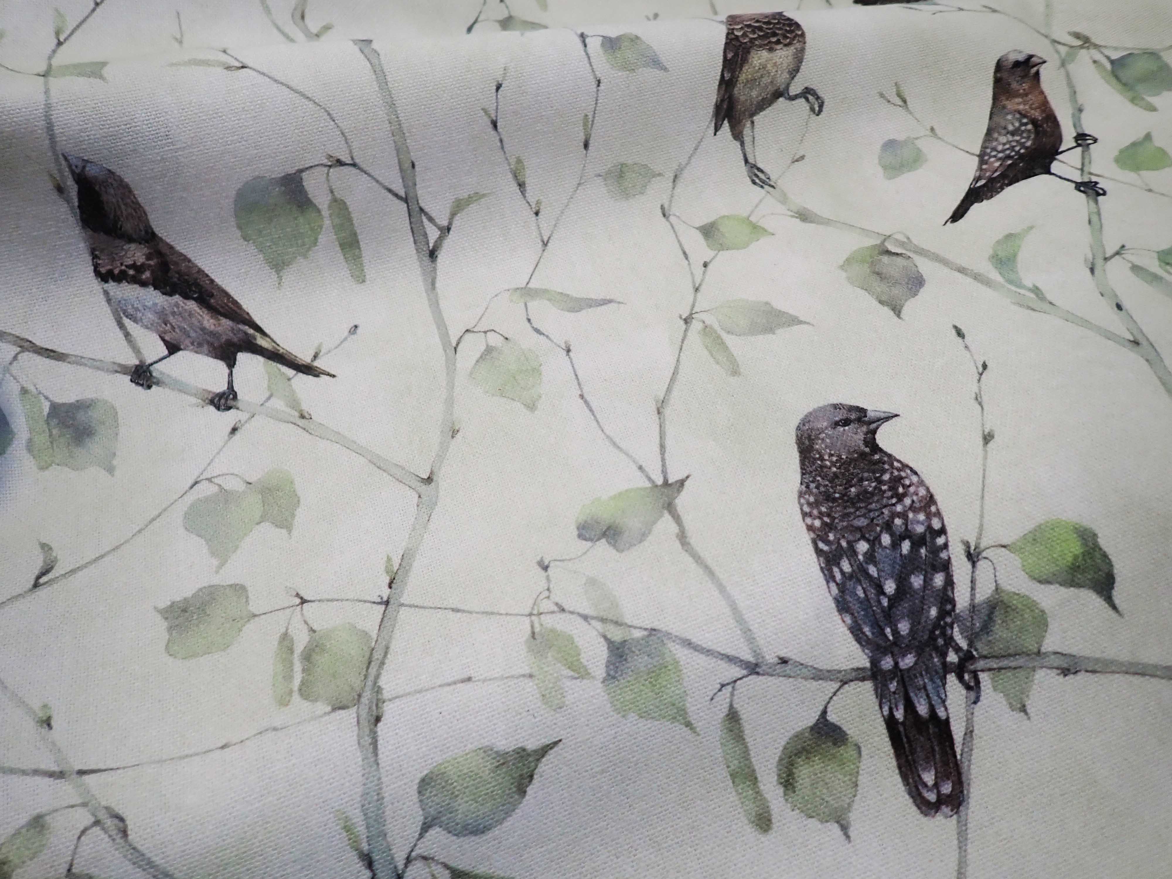 LÁTKA - FOTOTISK - PTÁČCI