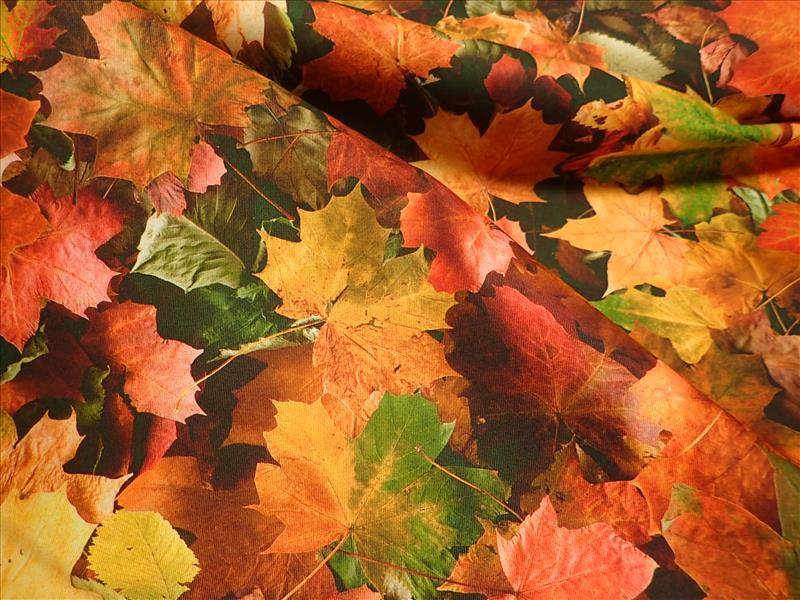 FOTOTISK - DIGITÁLNÍ TISK - LISTY