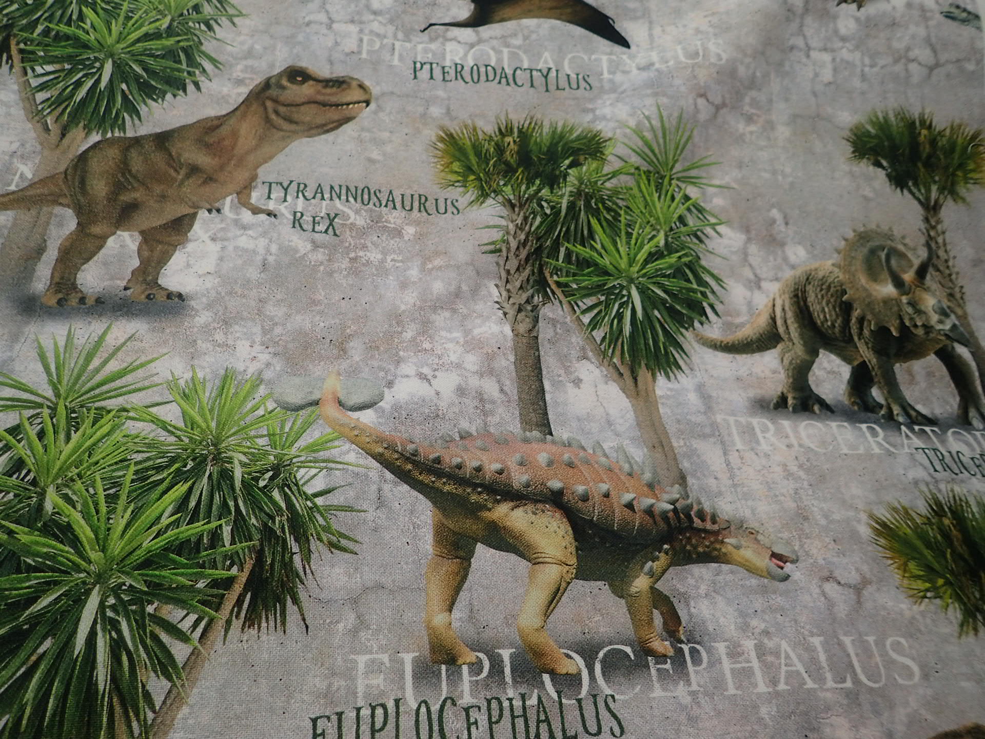 FOTOTISK - DIGITÁLNÍ TISK - DINOSAUŘI