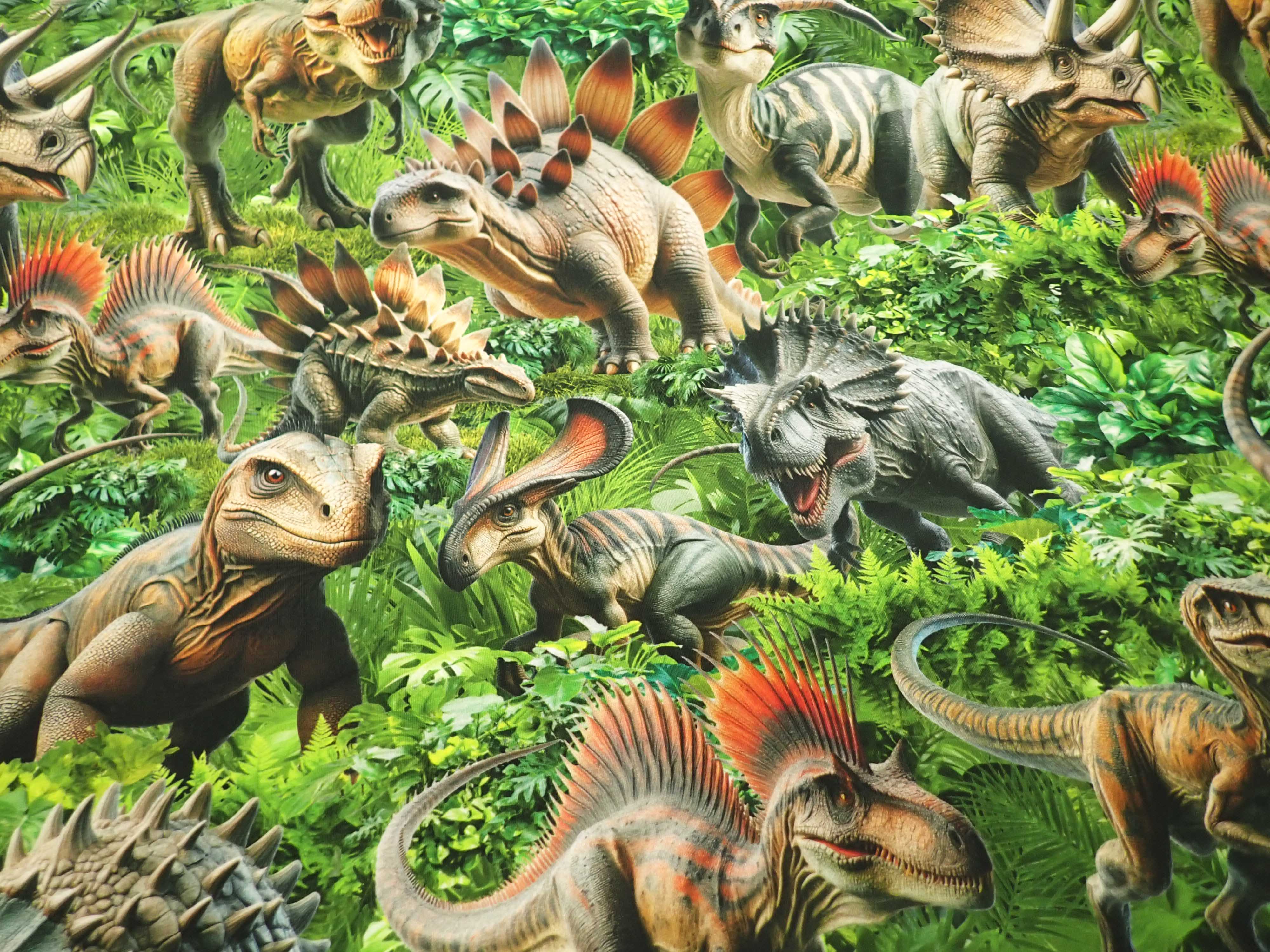 PLETENINA - JERSEY - FOTOTISK - DINOSAUŘI