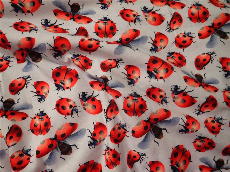 TEPLÁKOVINA - FOTOTISK - BERUŠKY