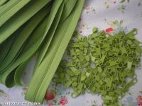 jezdec k zipu zelený