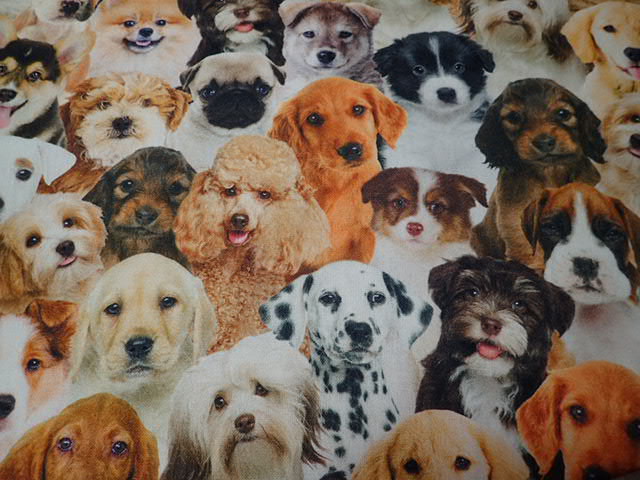 FOTOTISK - DIGITÁLNÍ TISK - PSI